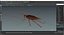 Animated Cockroach Cleans Paw Rigged for Maya 3D model