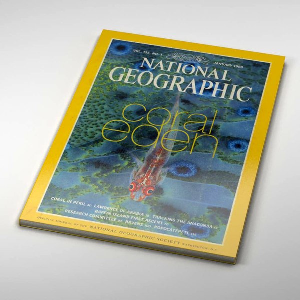 national magazine 3d max