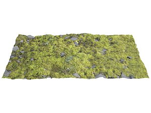 Terrain 3D Models for Download | TurboSquid