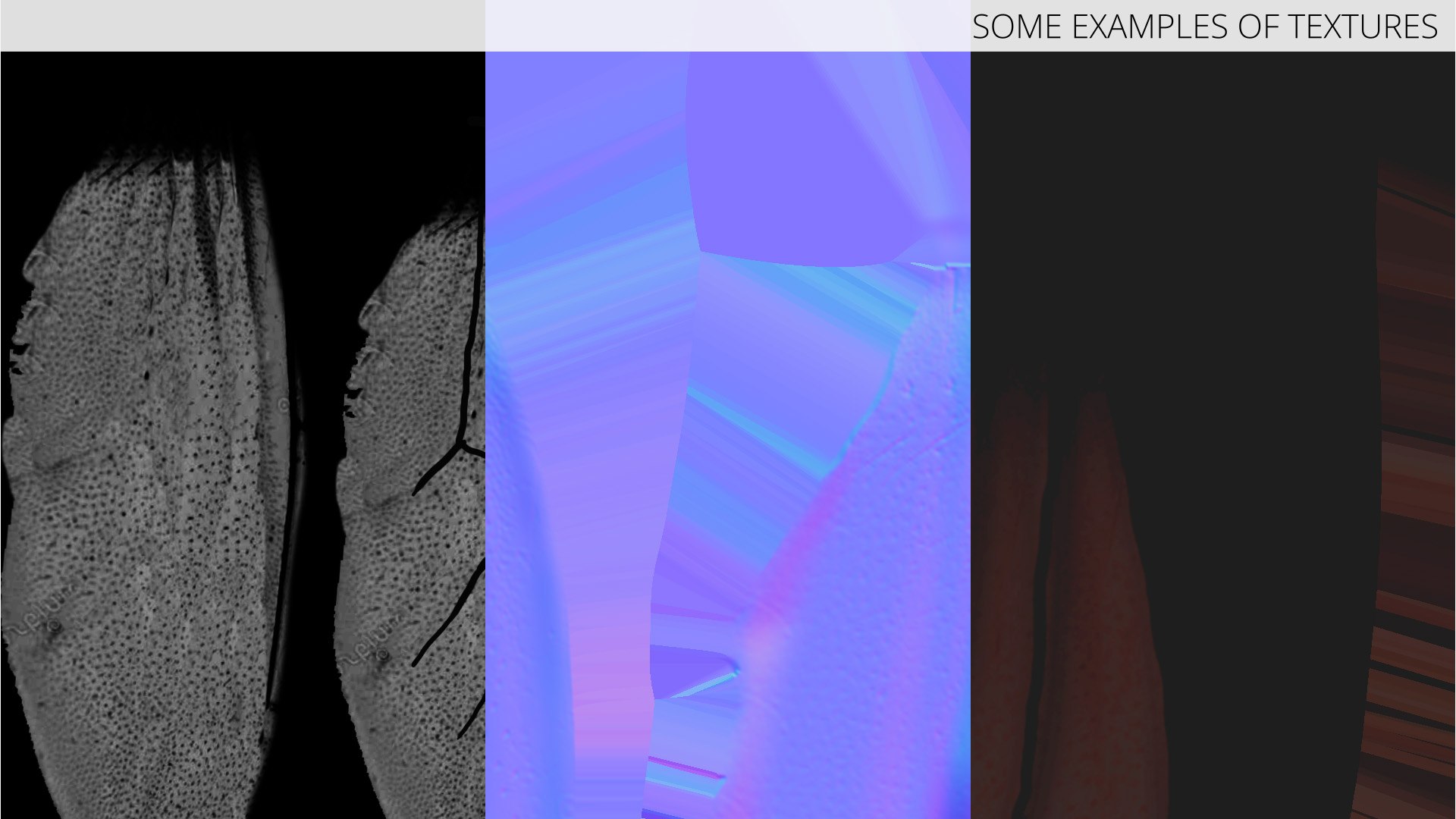 Carpenter Bee Insect Black Ready Pose 3D https://p.turbosquid.com/ts-thumb/it/IOwJ0L/0A/carpenter_bee_insect_black_ready_pose_014/jpg/1755662670/1920x1080/fit_q87/cb144f7541ef4b28007f94648147754c3551efec/carpenter_bee_insect_black_ready_pose_014.jpg