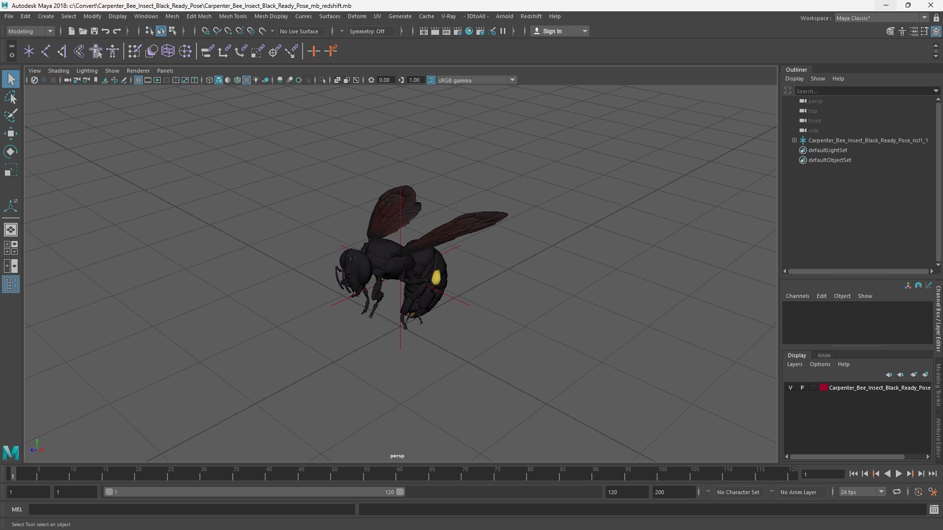 Carpenter Bee Insect Black Ready Pose 3D https://p.turbosquid.com/ts-thumb/it/IOwJ0L/EA/carpenter_bee_insect_black_ready_pose_1002/jpg/1755662685/1920x1080/fit_q87/739d1d09260fcc4a792081cb3be55cde04c6fa1d/carpenter_bee_insect_black_ready_pose_1002.jpg