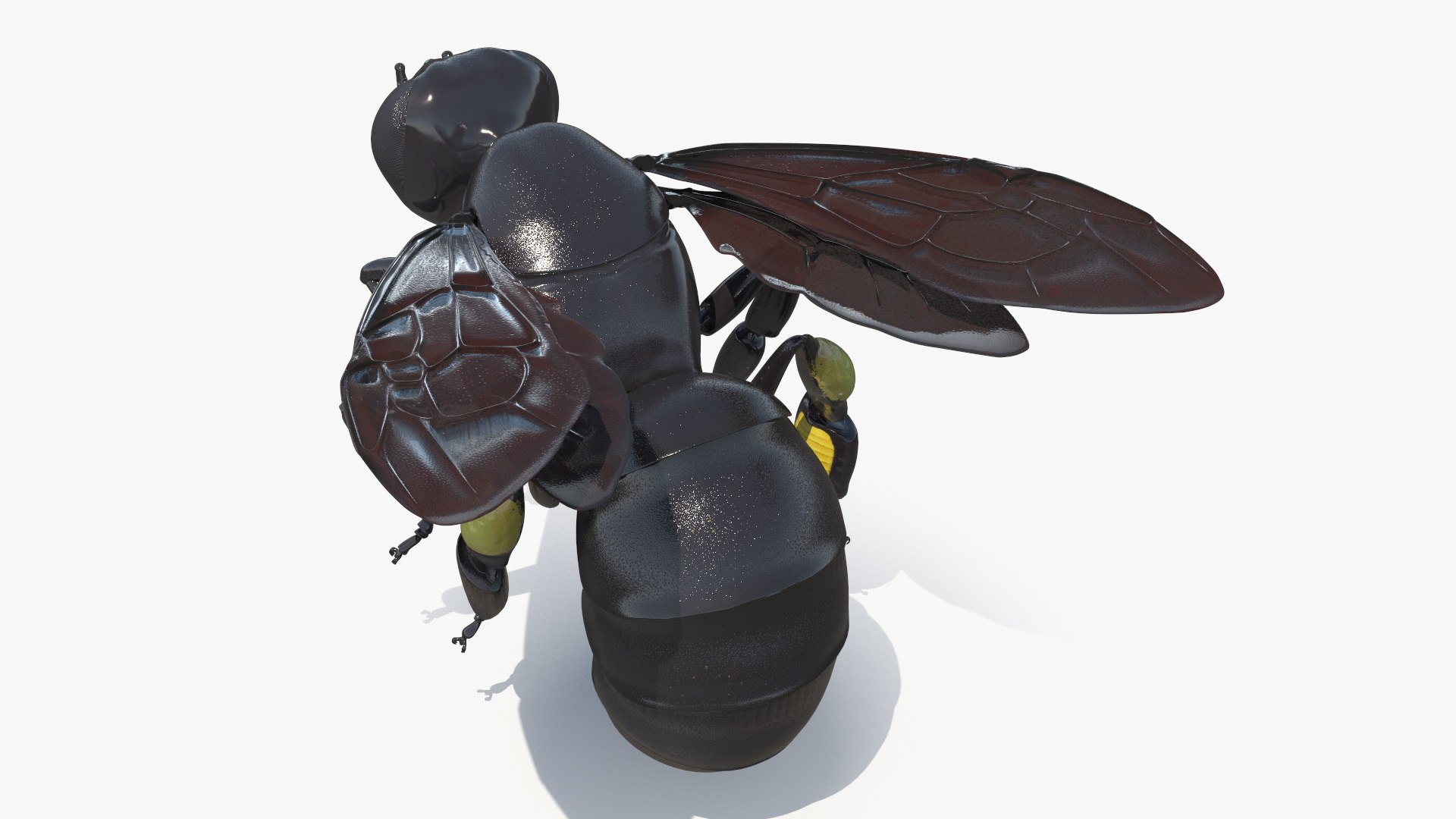 Carpenter Bee Insect Black Ready Pose 3D https://p.turbosquid.com/ts-thumb/it/IOwJ0L/hf/carpenter_bee_insect_black_ready_pose_006/jpg/1755662636/1920x1080/fit_q87/0393cf2dce78fbe5fbf01c7445582ac4a471e6b4/carpenter_bee_insect_black_ready_pose_006.jpg