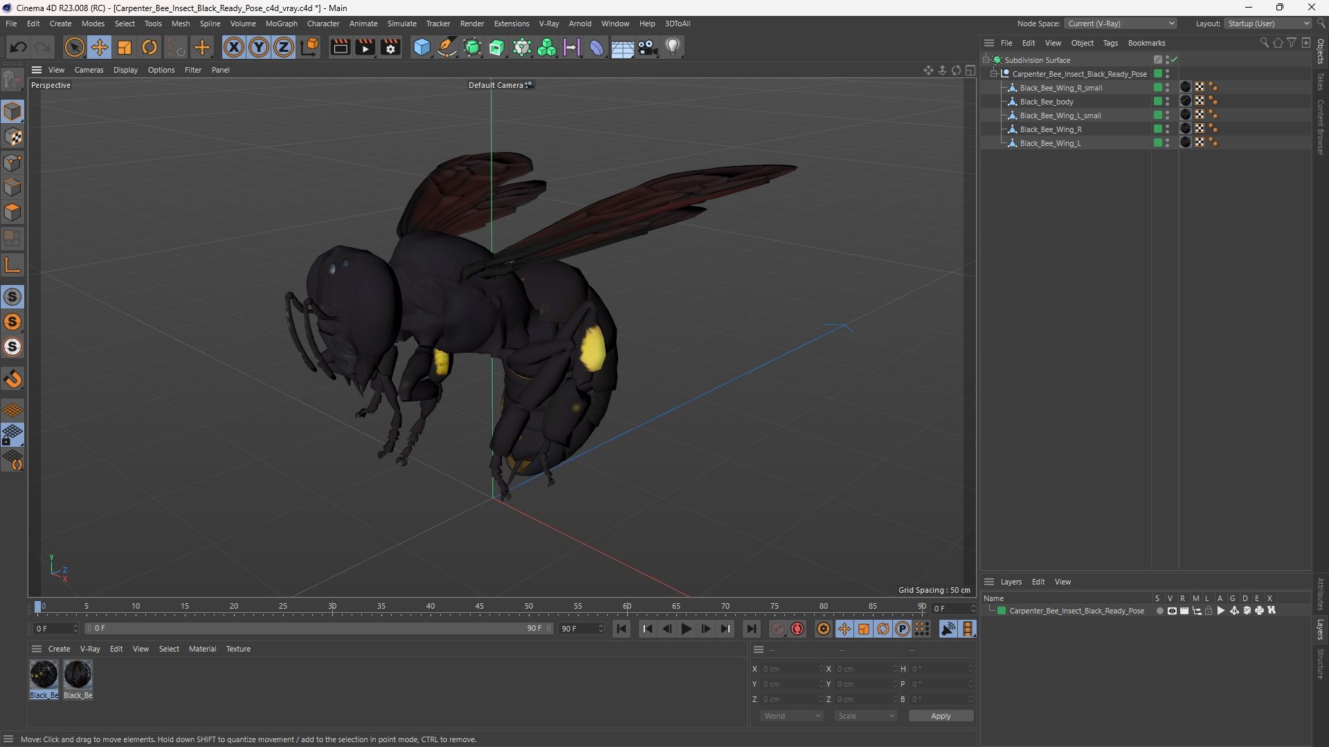 Carpenter Bee Insect Black Ready Pose 3D https://p.turbosquid.com/ts-thumb/it/IOwJ0L/le/carpenter_bee_insect_black_ready_pose_1003/jpg/1755662689/1920x1080/fit_q87/e254f86a6ffcbc5b5becd3c0fe9aad7c2992756f/carpenter_bee_insect_black_ready_pose_1003.jpg