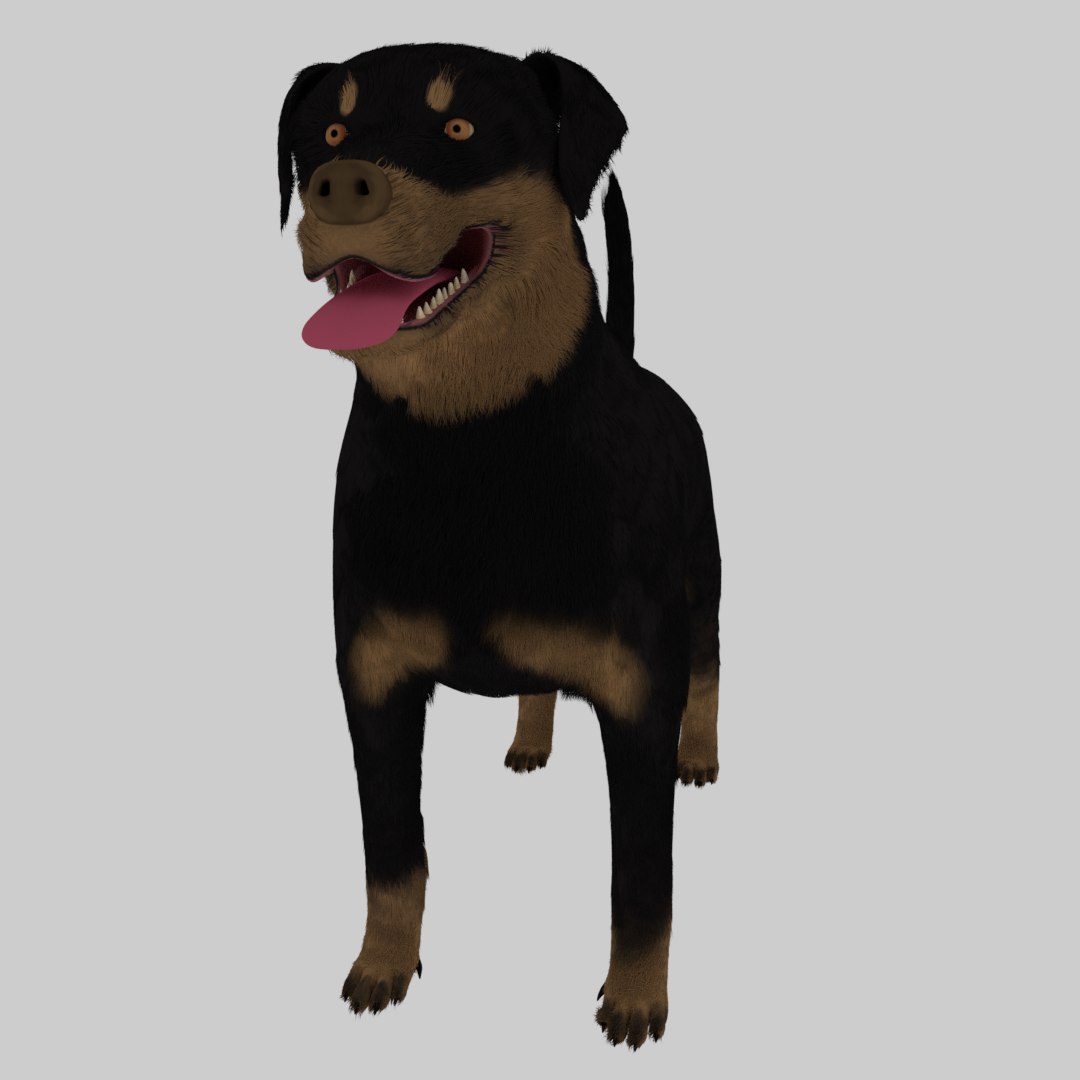 3D Rottweiler Skin Model - TurboSquid 1375225