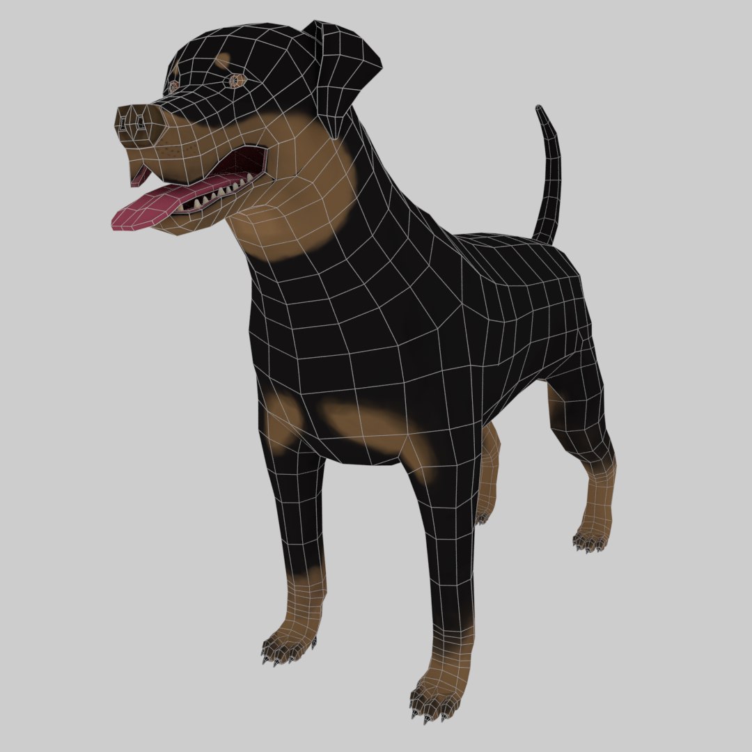 3D Rottweiler Skin Model - TurboSquid 1375225