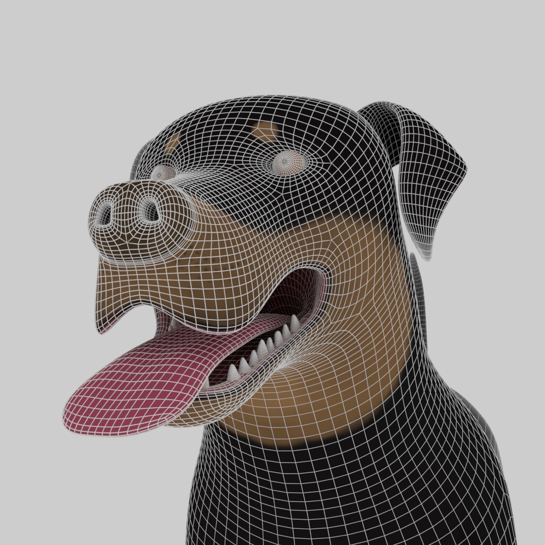 3D Rottweiler Skin Model - TurboSquid 1375225