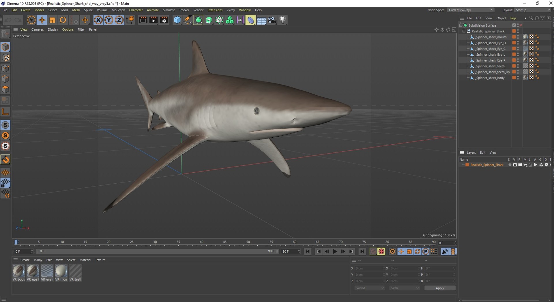3D Realistic Spinner Shark https://p.turbosquid.com/ts-thumb/it/TLqEUN/Fk/realisticspinnershark3dsmodel039/jpg/1722848169/1920x1080/fit_q87/ffc754ffa1779ac0d7b75638ba1d27269869efb1/realisticspinnershark3dsmodel039.jpg