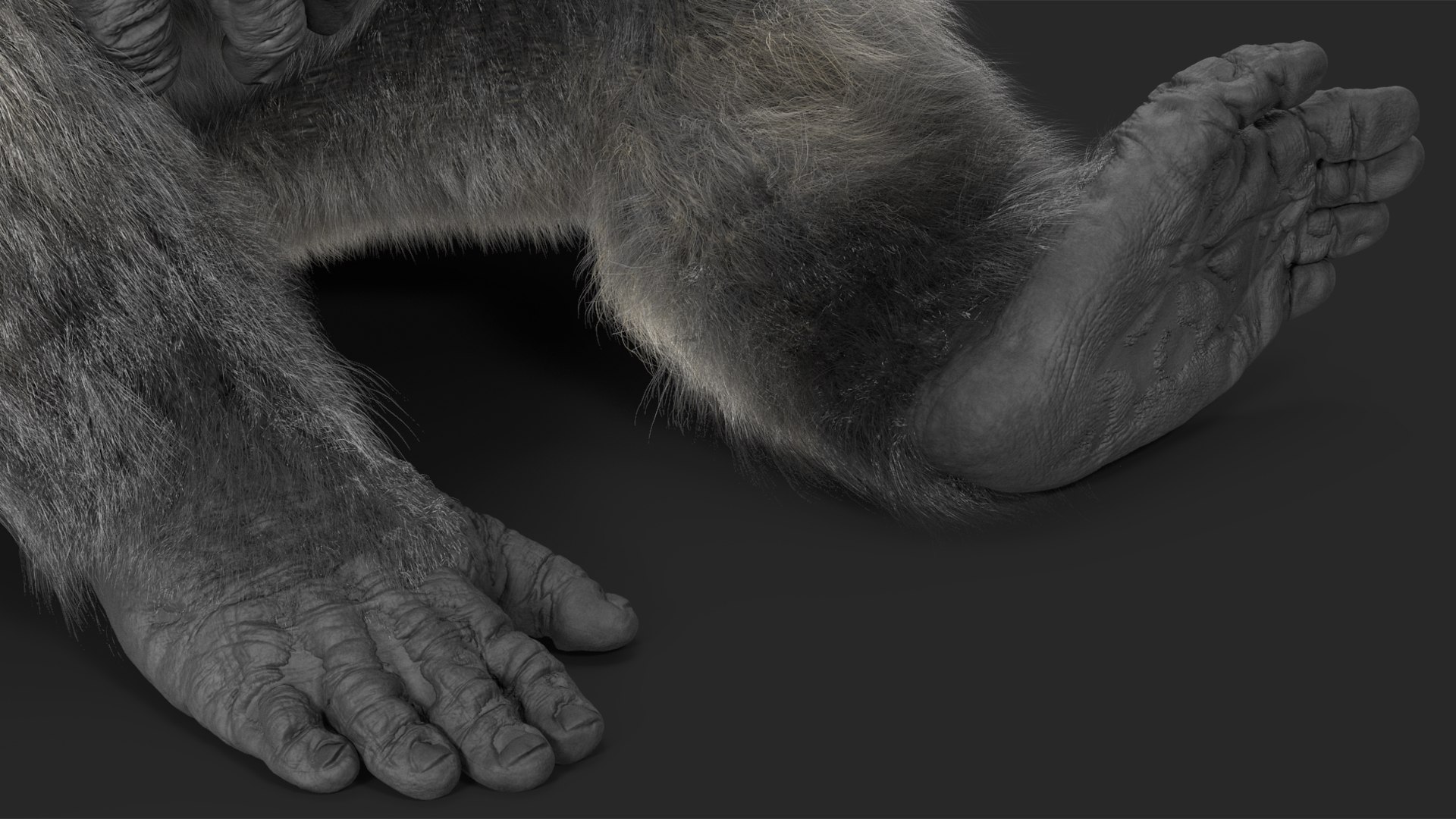 3D Eastern Gorilla Sitting Pose Fur model https://p.turbosquid.com/ts-thumb/it/TV0gz5/5k/easterngorillasittingposefurmb3dmodel017/jpg/1708586516/1920x1080/fit_q87/f6e44246f9d06585bf2ce2d86ea86245e98cbd2e/easterngorillasittingposefurmb3dmodel017.jpg