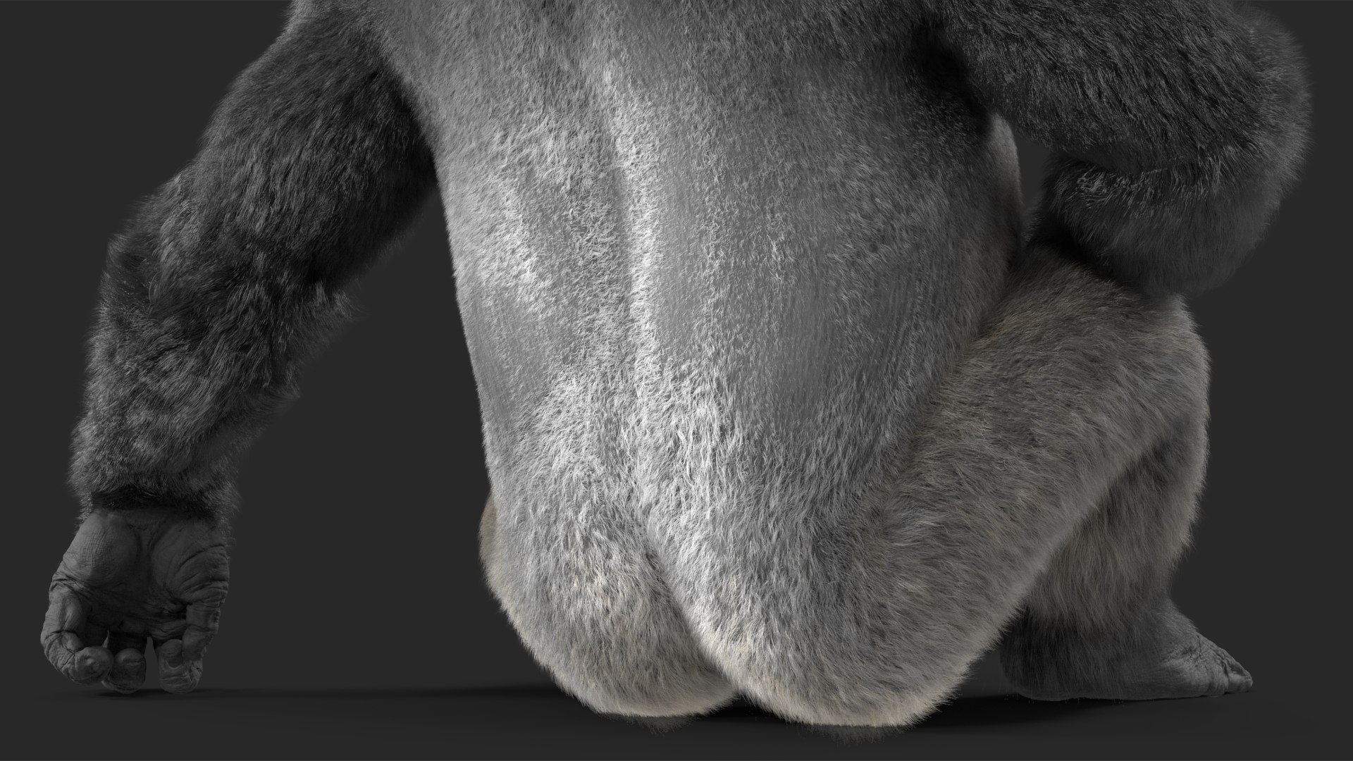 3D Eastern Gorilla Sitting Pose Fur model https://p.turbosquid.com/ts-thumb/it/TV0gz5/7M/easterngorillasittingposefurmb3dmodel015/jpg/1708586510/1920x1080/fit_q87/2f1f7bc9cb70f1e7bbed813d2fb04464c30762b3/easterngorillasittingposefurmb3dmodel015.jpg