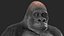 Eastern Gorilla Sitting Pose Fur