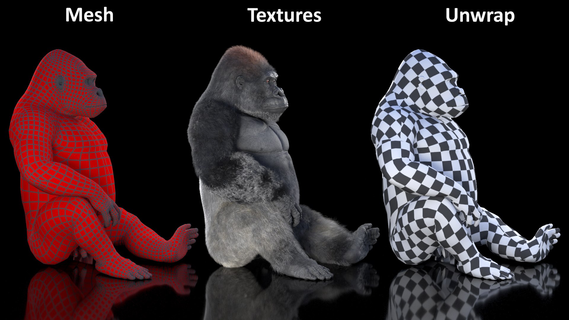 3D Eastern Gorilla Sitting Pose Fur model https://p.turbosquid.com/ts-thumb/it/TV0gz5/LC/easterngorillasittingposefurmb3dmodel018/jpg/1708586521/1920x1080/fit_q87/21a716664316c1d6fb44e136f74986240b6b32e9/easterngorillasittingposefurmb3dmodel018.jpg