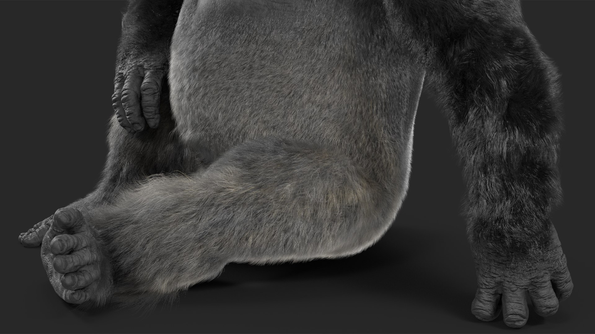 3D Eastern Gorilla Sitting Pose Fur model https://p.turbosquid.com/ts-thumb/it/TV0gz5/N5/easterngorillasittingposefurmb3dmodel016/jpg/1708586513/1920x1080/fit_q87/c630b60d9d281a751d6f80507a0303e16cd4ba05/easterngorillasittingposefurmb3dmodel016.jpg