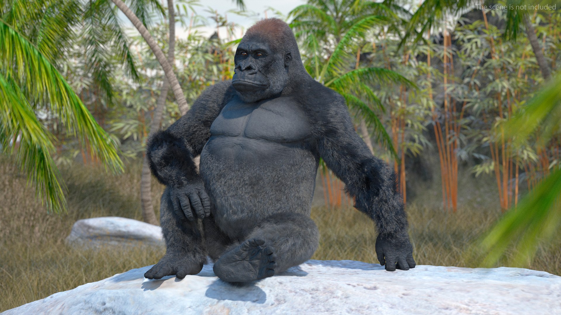 3D Eastern Gorilla Sitting Pose Fur model https://p.turbosquid.com/ts-thumb/it/TV0gz5/St/easterngorillasittingposefurmb3dmodel006/jpg/1708586477/1920x1080/fit_q87/e0ac5ec35d9b27b059f36e9ce166d2e5e1100512/easterngorillasittingposefurmb3dmodel006.jpg