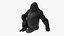 Eastern Gorilla Sitting Pose Fur