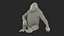 Eastern Gorilla Sitting Pose Fur