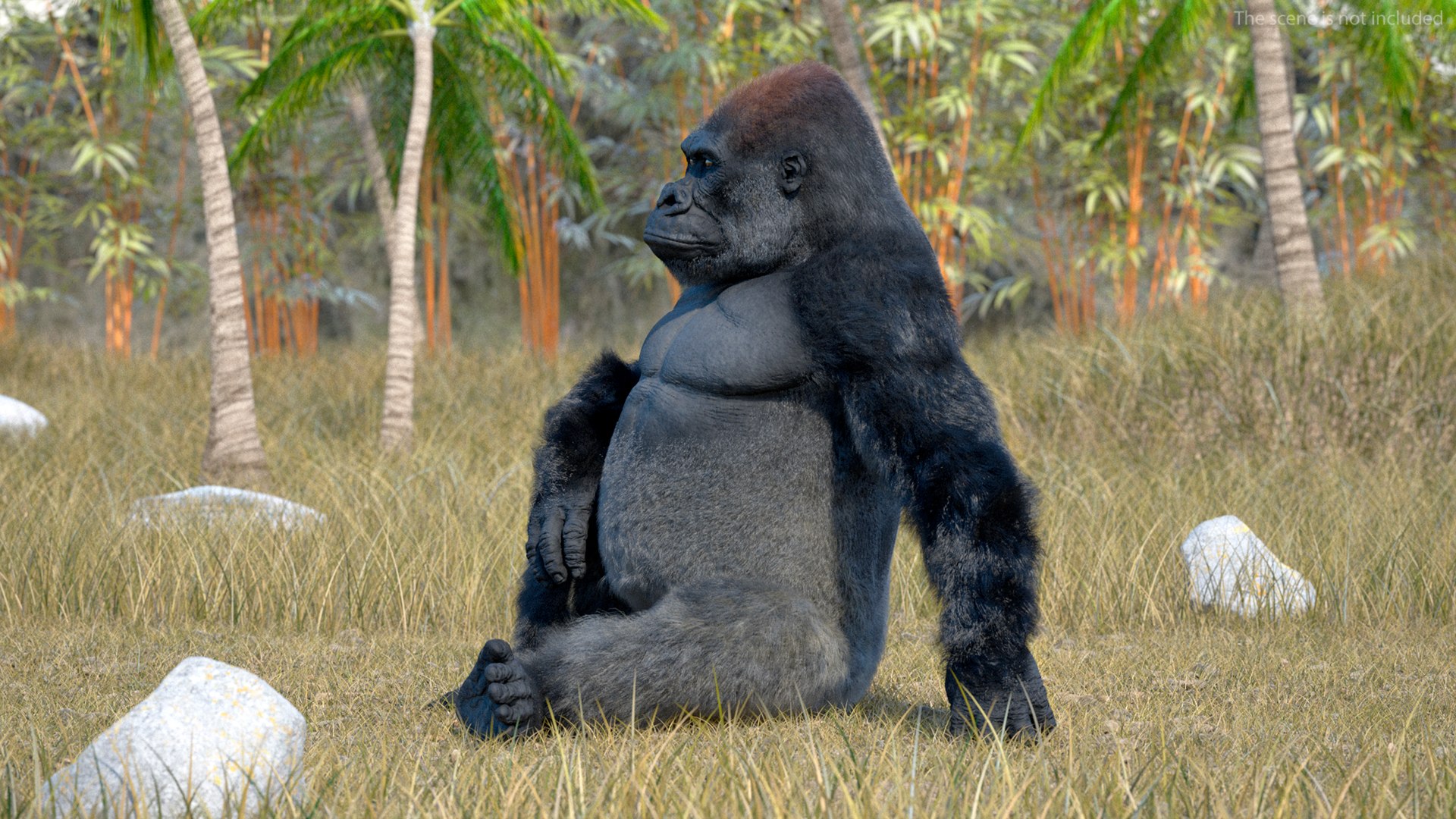 3D Eastern Gorilla Sitting Pose Fur model https://p.turbosquid.com/ts-thumb/it/TV0gz5/ko/easterngorillasittingposefurmb3dmodel004/jpg/1708586467/1920x1080/fit_q87/3bef60c6d1a777782efac19bf8534de01812ebec/easterngorillasittingposefurmb3dmodel004.jpg