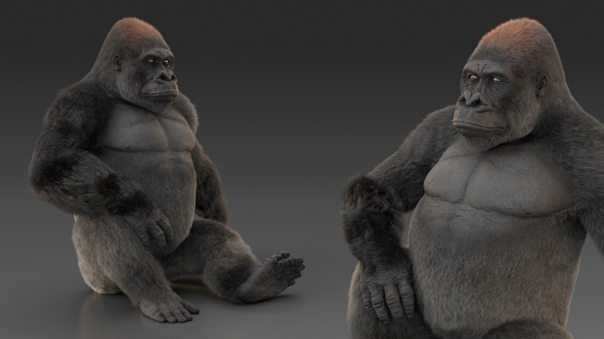 3D Eastern Gorilla Sitting Pose Fur model https://p.turbosquid.com/ts-thumb/it/TV0gz5/nR/easterngorillasittingposefurmb3dmodel008/jpg/1708586486/1920x1080/fit_q87/e905c75c4c0d3acb9a6f227503ec00a2fcf6bfb8/easterngorillasittingposefurmb3dmodel008.jpg