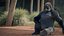Eastern Gorilla Sitting Pose Fur