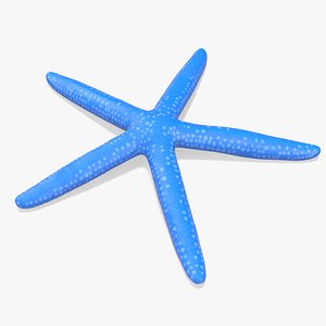 Blue Sea Star 3D model