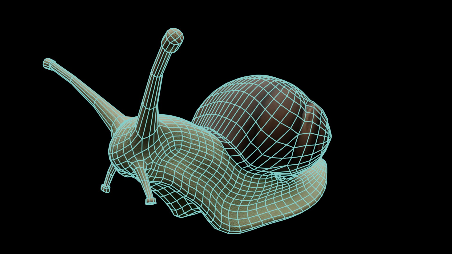Snail 3D Model - TurboSquid 2171836