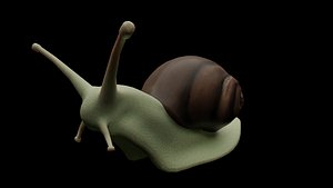 Snail