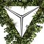 plant vol 844 - pothos - hanging - ampelous