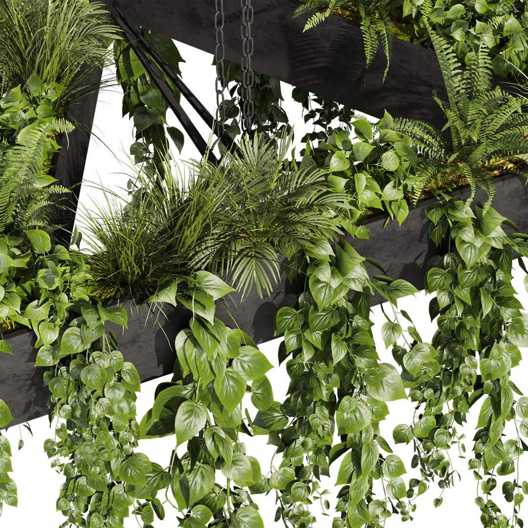 3D plant vol 844 - pothos - hanging - ampelous https://p.turbosquid.com/ts-thumb/it/ZIXzYm/I9/2/jpg/1769873039/1920x1080/fit_q87/20fec9fd7f6271429c7222fae9548c4867ae25c1/2.jpg