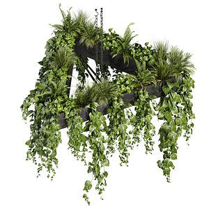 3D plant vol 844 - pothos - hanging - ampelous