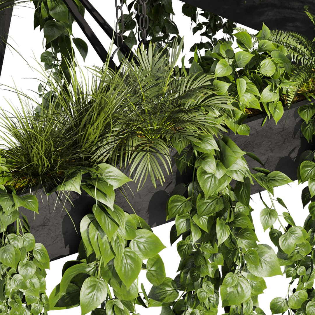 3D plant vol 844 - pothos - hanging - ampelous https://p.turbosquid.com/ts-thumb/it/ZIXzYm/sz/4/jpg/1769873040/1920x1080/fit_q87/03207d0dc67f0a946281e121e288d142cc1b2f0e/4.jpg