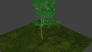 Tree Scene