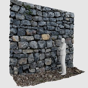 3D model scan pebbles wall