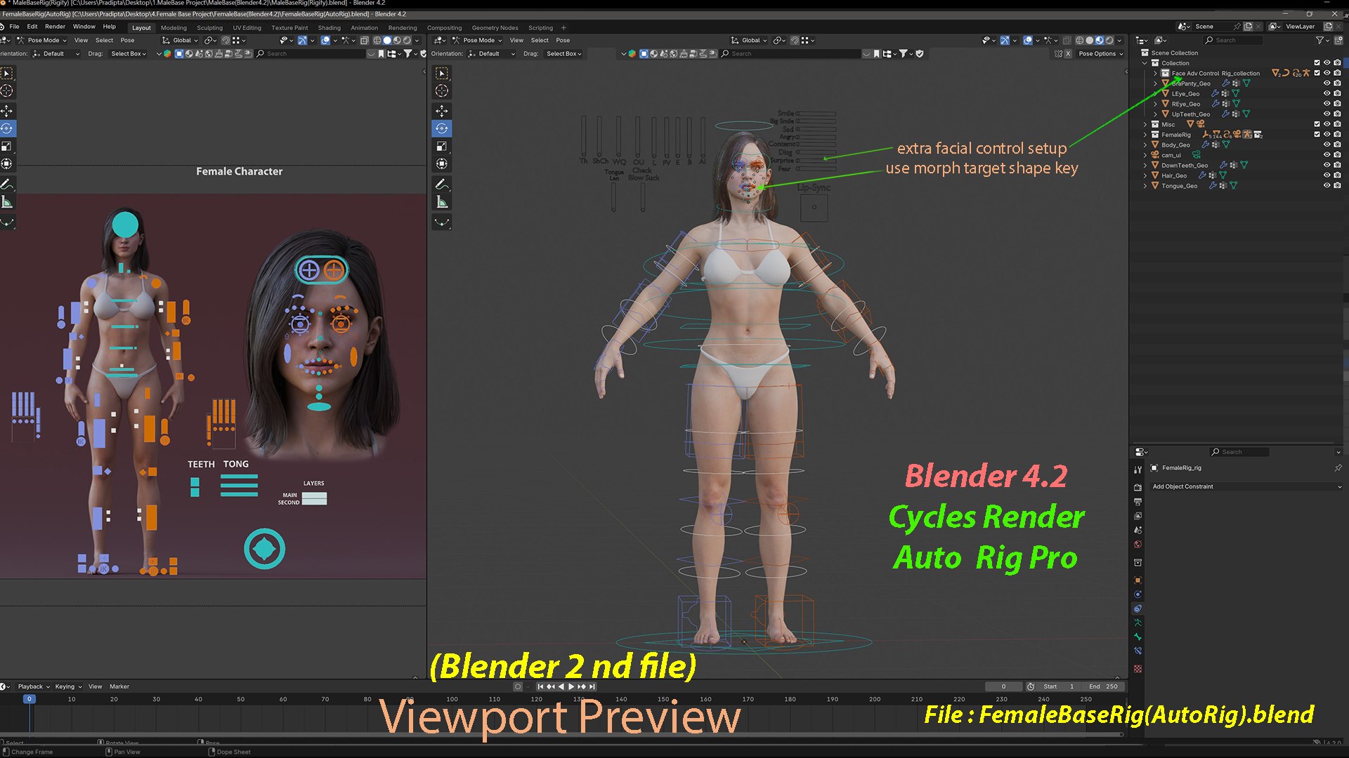 3D Female Base Rig https://p.turbosquid.com/ts-thumb/it/oxhveF/1u/shot23/jpg/1781715877/1920x1080/fit_q87/0c24f9c2ba170cd9d3b49ef239411215de6f9ad9/shot23.jpg