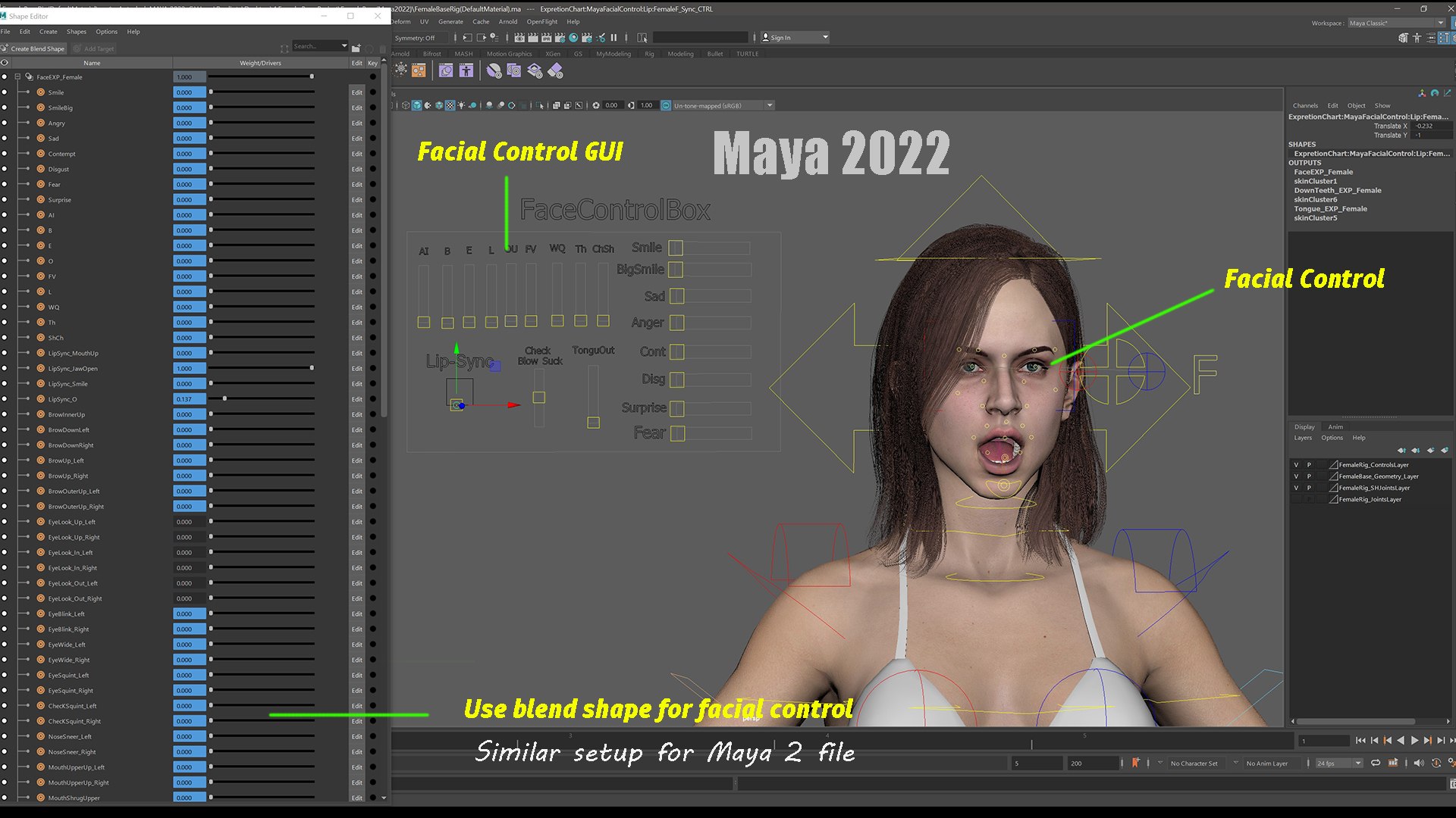 3D Female Base Rig https://p.turbosquid.com/ts-thumb/it/oxhveF/E9/shot25/jpg/1781715877/1920x1080/fit_q87/066a599f49f18951c36b95665f24d55c77b233ca/shot25.jpg