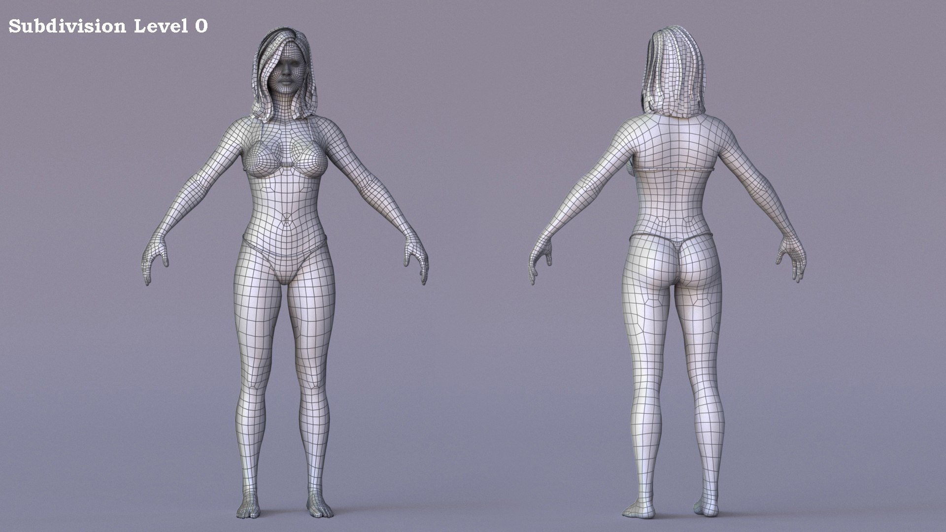 3D Female Base Rig https://p.turbosquid.com/ts-thumb/it/oxhveF/ZD/wire01/jpg/1781715910/1920x1080/fit_q87/b8b17f25fca4a5c1114da24f5dbf7db5a58c546f/wire01.jpg