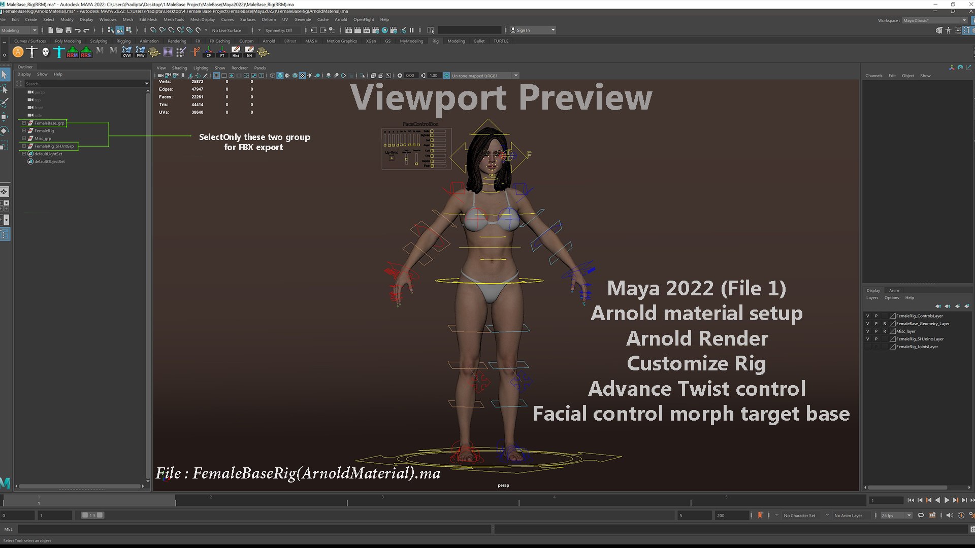3D Female Base Rig https://p.turbosquid.com/ts-thumb/it/oxhveF/ap/shot20/jpg/1781715853/1920x1080/fit_q87/2564ebecd3c27fdd690a44b9f7abb40aed3545d9/shot20.jpg