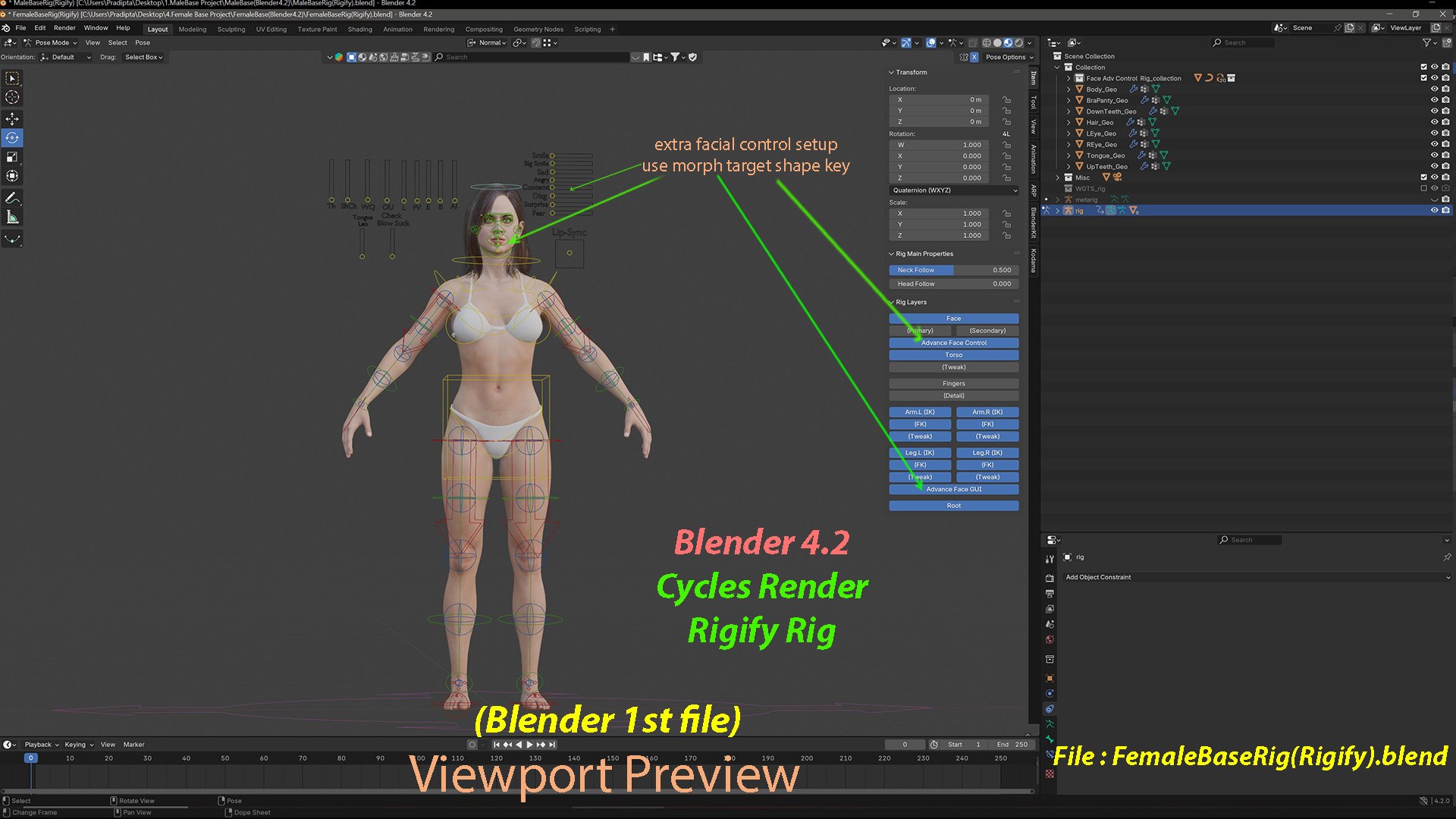 3D Female Base Rig https://p.turbosquid.com/ts-thumb/it/oxhveF/vZ/shot22/jpg/1781715852/1920x1080/fit_q87/4b3dca37ba2db77a91fb36d69838b6af48658761/shot22.jpg