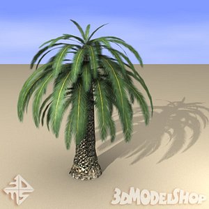 palmtree palms 3d max