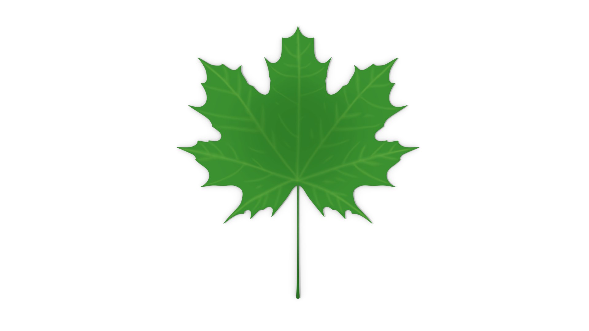 3D green maple leaf model https://p.turbosquid.com/ts-thumb/iu/8TZqFx/cSNPZxEN/mapleleaf_t1/png/1576063387/1920x1080/fit_q87/bebdaed17b10ec44e17823d47f0ff960ded99612/mapleleaf_t1.jpg