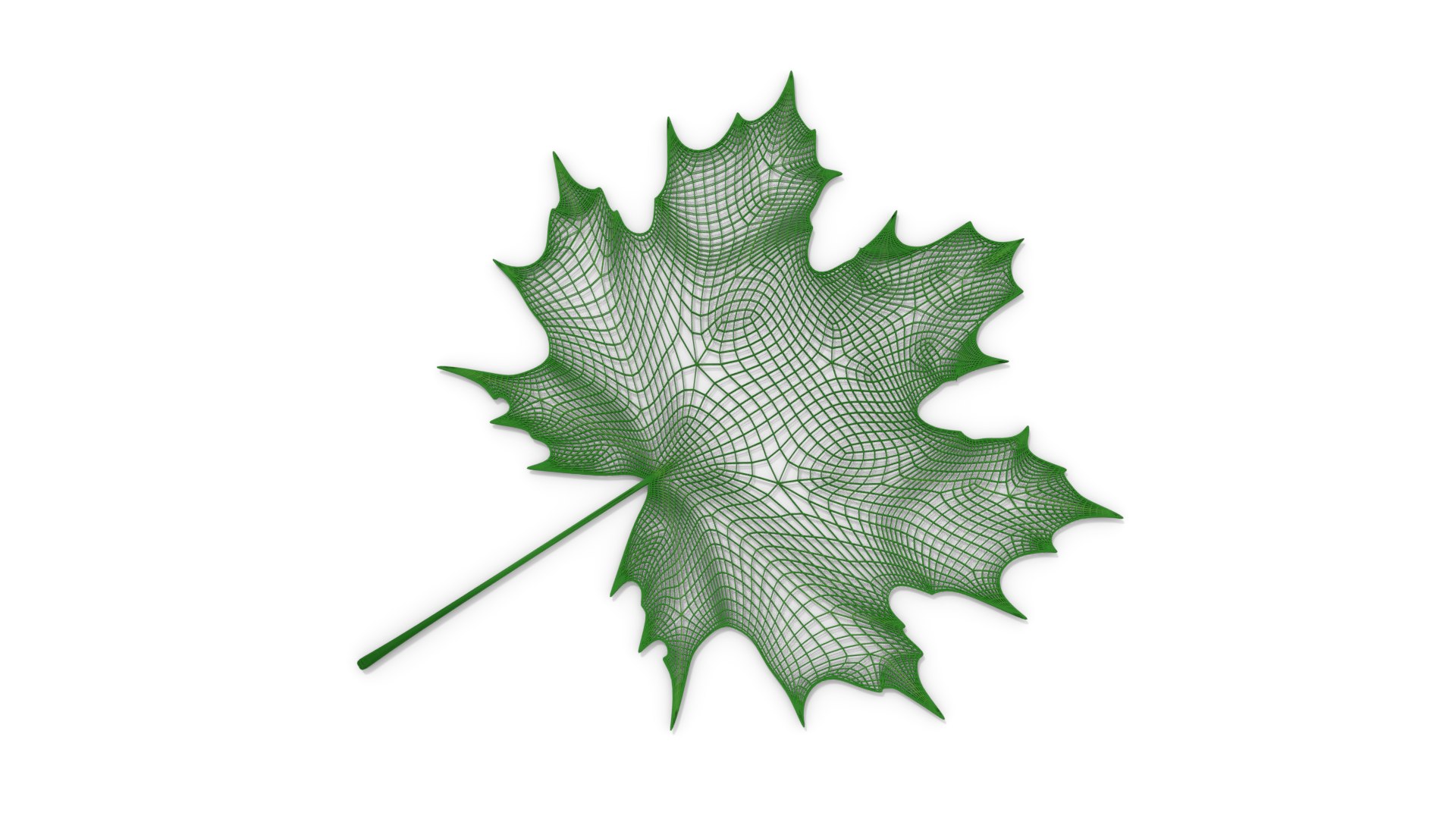 3D green maple leaf model https://p.turbosquid.com/ts-thumb/iu/8TZqFx/deq0qn7s/mapleleaf_w1/png/1576063387/1920x1080/fit_q87/95676a67601e7b33b9304fd083b61805899fd92e/mapleleaf_w1.jpg