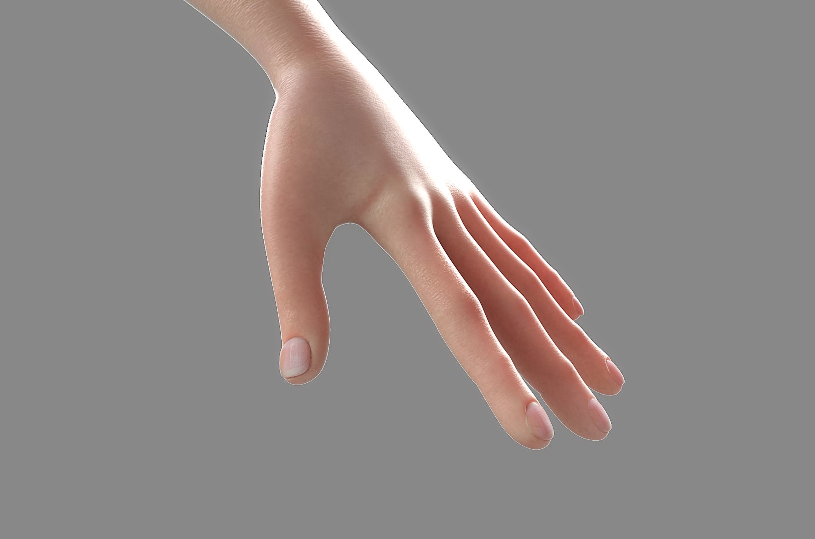 3D cartoon old woman rigged character https://p.turbosquid.com/ts-thumb/iu/AeVIam/xb8BMVPy/hand/png/1561512584/1920x1080/fit_q87/235077517fbcec81c5a87a21e20e1ce8b8267035/hand.jpg