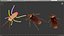 3D cockroach spinning rigged animation