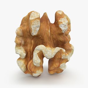 Walnut 02 - 3D Scanned
