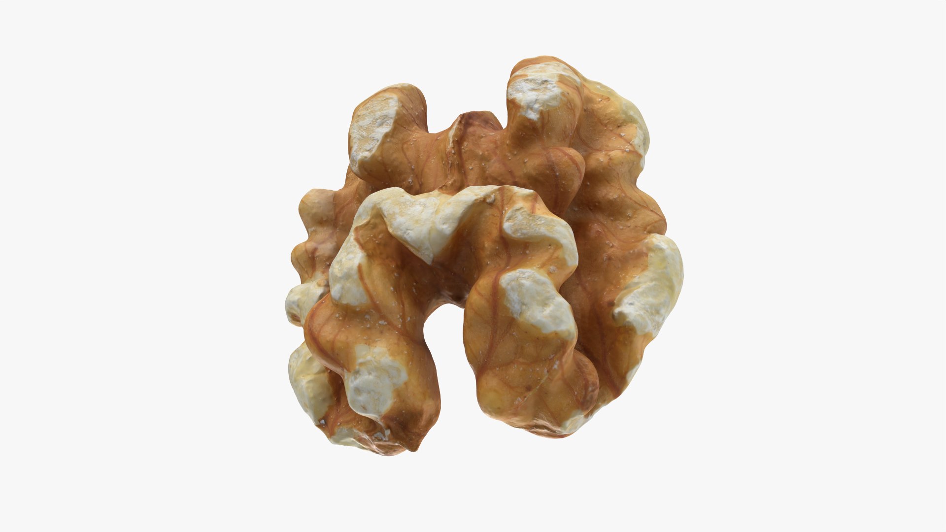 3D Model Walnut 02 - 3D Scanned - TurboSquid 2533806