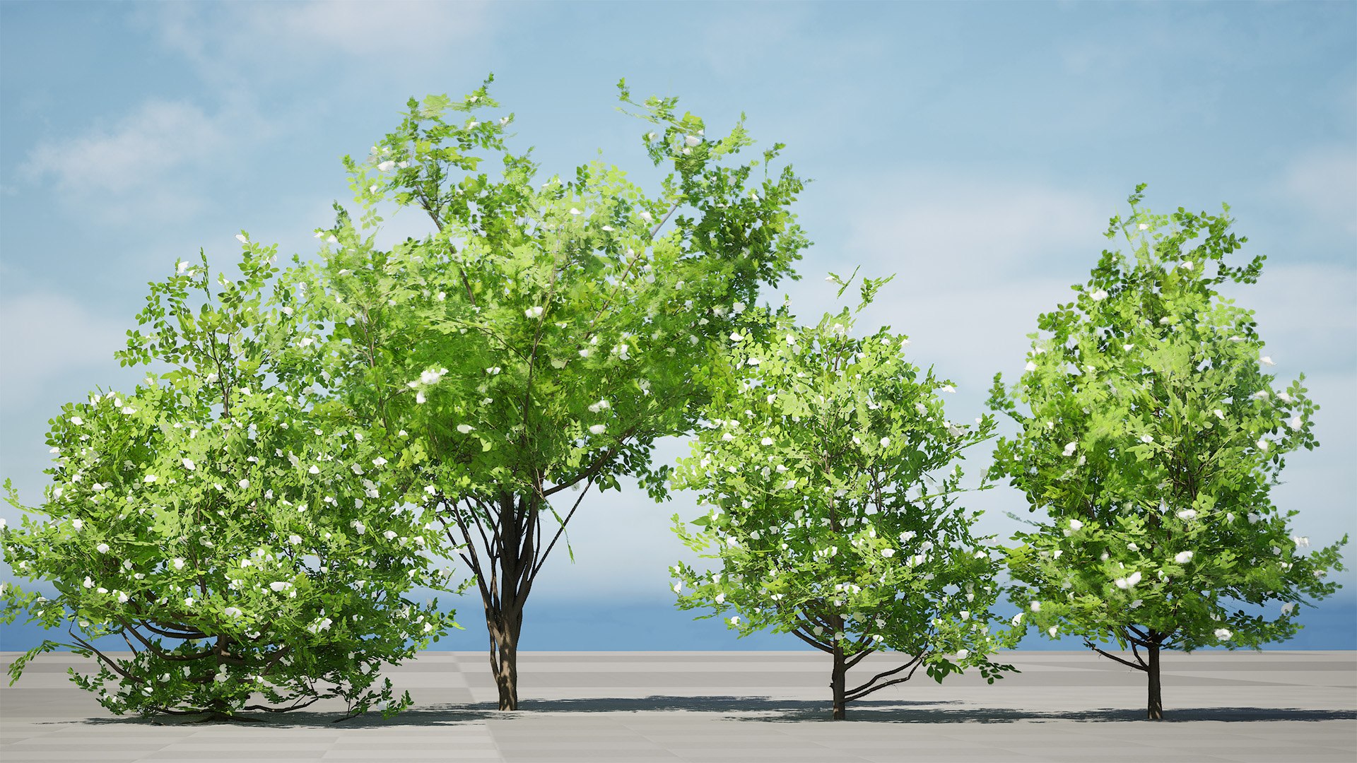 Privet Shrub 3D Asset 3D model https://p.turbosquid.com/ts-thumb/iu/OaoGfg/lH/highresscreenshot00002/jpg/1724449812/1920x1080/fit_q87/c3ea6c3d1cba6932bd92d6efba7c3458249aaa26/highresscreenshot00002.jpg