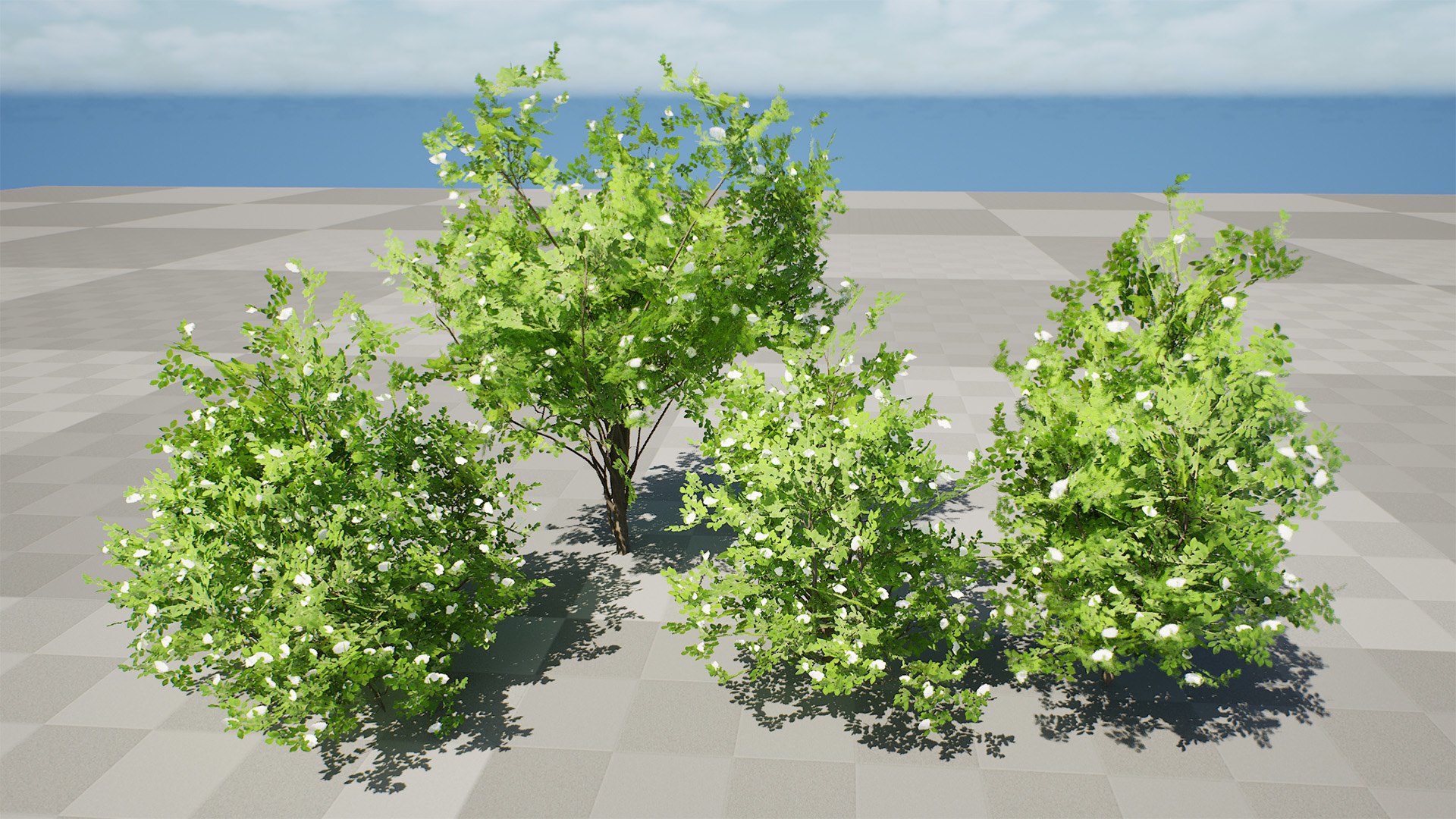 Privet Shrub 3D Asset 3D model https://p.turbosquid.com/ts-thumb/iu/OaoGfg/lt/highresscreenshot00000/jpg/1724449811/1920x1080/fit_q87/85c53c4b561aac0342fbcb5468bc1b5c286193b9/highresscreenshot00000.jpg