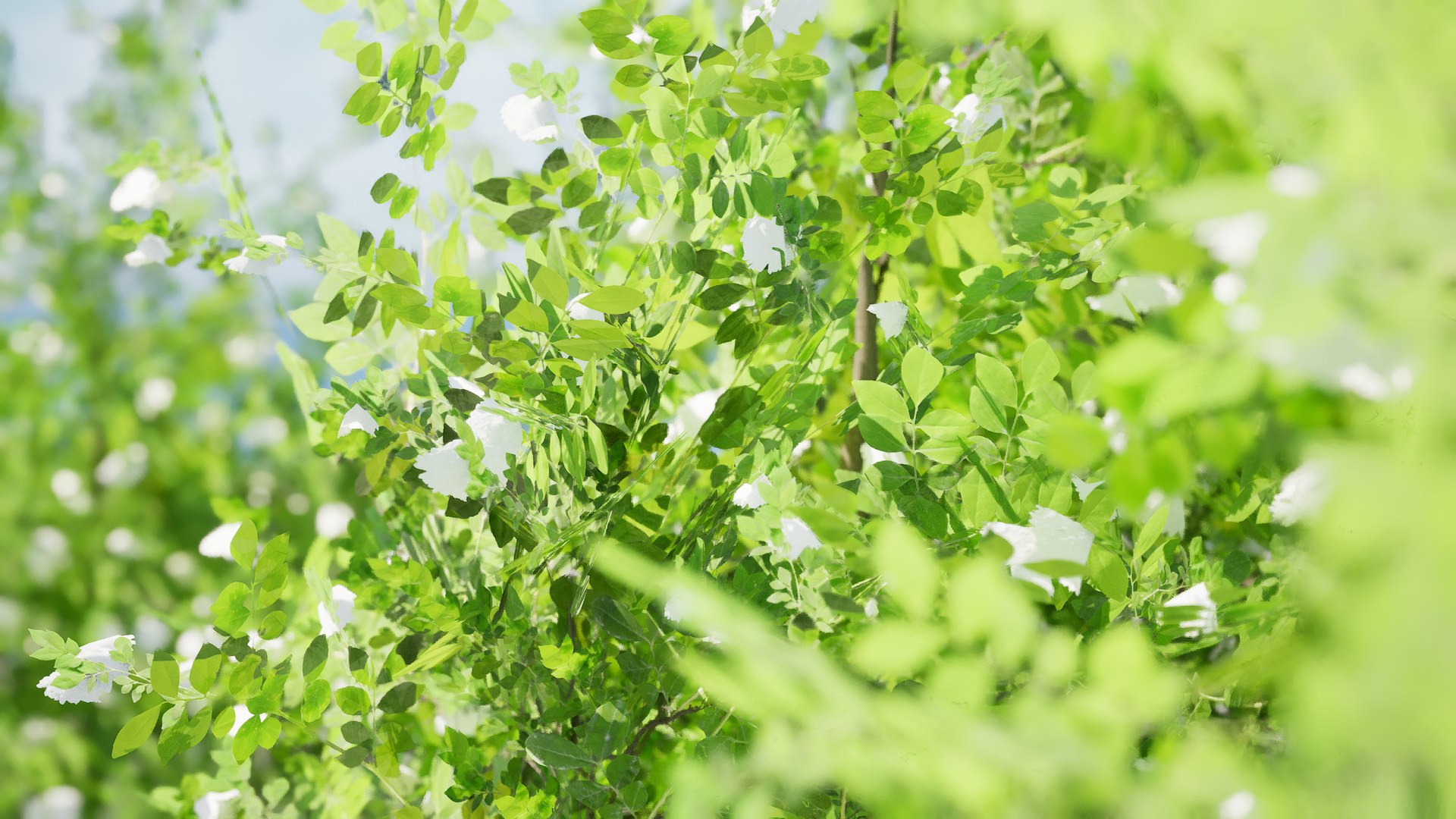 Privet Shrub 3D Asset 3D model https://p.turbosquid.com/ts-thumb/iu/OaoGfg/xp/highresscreenshot00003/jpg/1724449813/1920x1080/fit_q87/8e8dacd1976834b9ab9e4362e7e710881798ebee/highresscreenshot00003.jpg