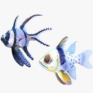 3D Banggai and Spotted Cardinalfish model