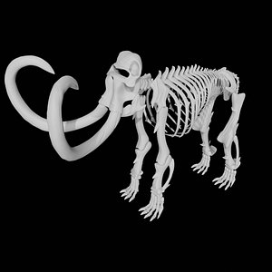 3D Rigged Mammoth skeleton model