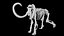 3D Rigged Mammoth skeleton model