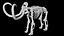 3D Rigged Mammoth skeleton model